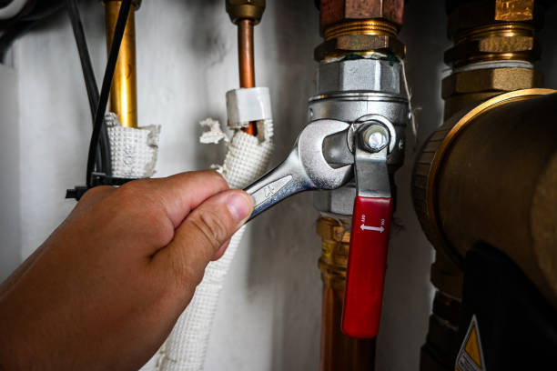 Best Local Plumber Services  in Orange Grove, TX